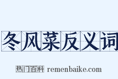 冬风菜反义词是什么意思的图片